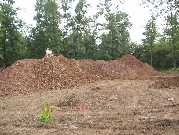 Michael and Katie on top of dirt piles 7 03