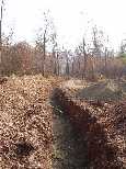 Utility trench from top of hill 11 1 03