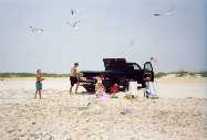 Michael feeding seagulls OBX 7 02