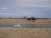 Michael jumping into tidal canal CC 8 03