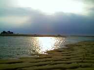 Race Point pond 8 06