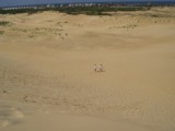 On top of the dune looking down