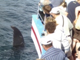 Whale watch 2008.JPG